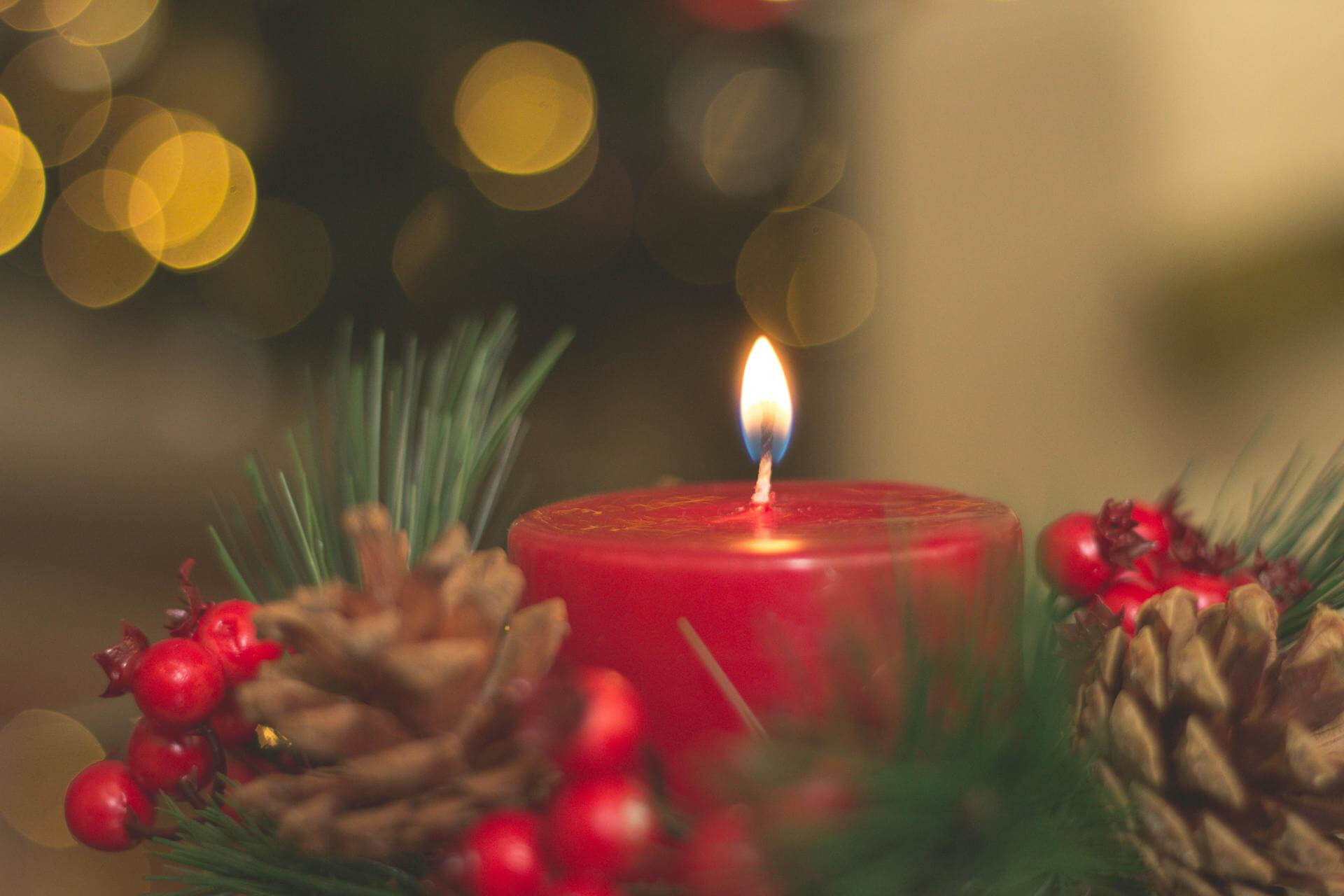 Lighted red Christmas candle in foliage